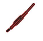 Neoprene Weight Lifting Belt - Image 3